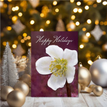 Sophisticated High-Poly Winter Rose Art Holiday