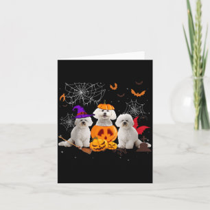 Carte Sorcière de citrouille drôle Bichon Frise Chien Ha