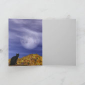 Carte Sorcière rouge Haired (Intérieur)