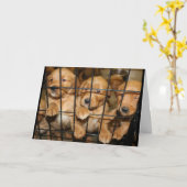 Carte Sortez De Là ! Humour de diplôme (Fleur jaune)