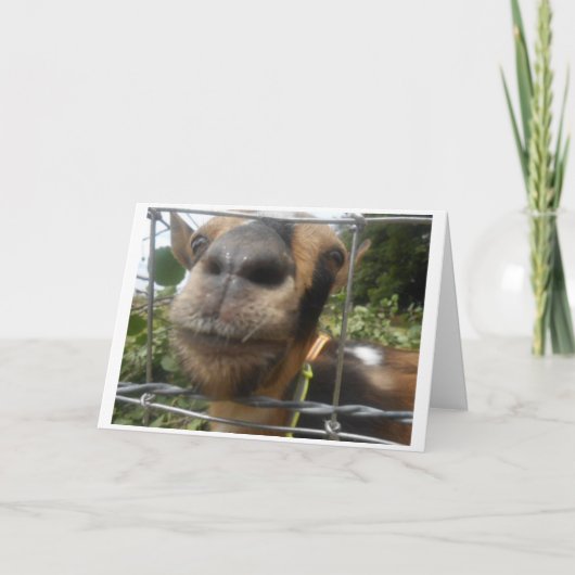 CARTE SORTEZ-MOI AFIN QUE JE PUISSE VOUS SOUHAITER UN JO (Devant)