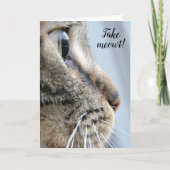 Carte Sortez-moi ! Cat Kitten Saint-Valentin (Devant)