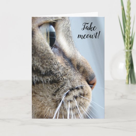 Carte Sortez-moi ! Cat Kitten Saint-Valentin (Devant)