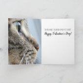 Carte Sortez-moi ! Cat Kitten Saint-Valentin (Intérieur)