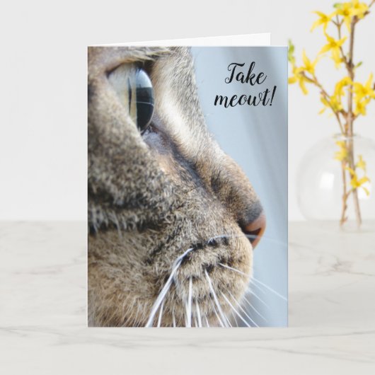 Carte Sortez-moi ! Cat Kitten Saint-Valentin (Fleur jaune)