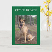 Carte SORTIE DE LA RÉACTION=40e ANNIVERSAIRE HUMOUR (Fleur jaune)