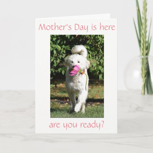 CARTE SOUHAIT SPÉCIAL POUR ***MOM*** LE JOUR DE LA MÈRE (Devant)