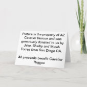 Carte Souhaits cavaliers d'anniversaire (Dos)