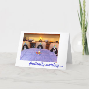 Carte Souhaits cavaliers d'anniversaire