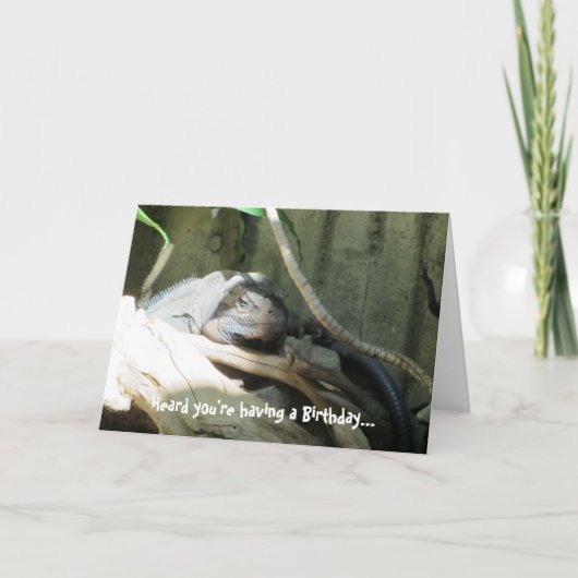 Carte Souhaits d'anniversaire d'Iquana (Devant)