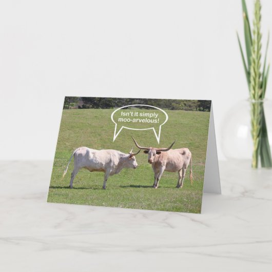 Carte Souhaits d'anniversaire du Texas Longhorn (Devant)