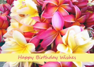Cartes Tropical Fleur D Anniversaire Zazzle Be Cartes Tropical Fleur D Anniversaire Zazzle Be