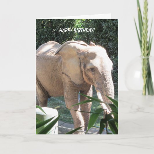 Carte Souhaits doux d'anniversaire d'éléphant (Devant)