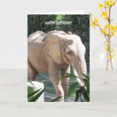 Carte Souhaits doux d'anniversaire d'éléphant (Fleur jaune)