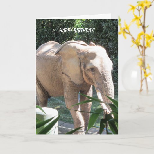 Carte Souhaits doux d'anniversaire d'éléphant (Fleur jaune)