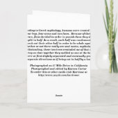 Carte Soul Mates (Dos)