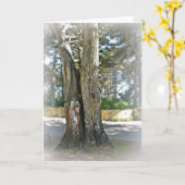 Carte Soul Mates (Fleur jaune)