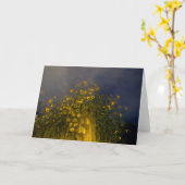 Carte source (Fleur jaune)