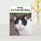 Carte Souriez.. C'est ton anniversaire - Chat (Fleur jaune)