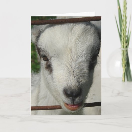 Carte Sourire (Devant)