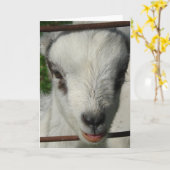 Carte Sourire (Fleur jaune)