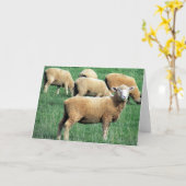 Carte sourire aux moutons (Fleur jaune)