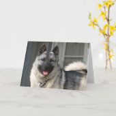 Carte Sourire de Bergen (Fleur jaune)