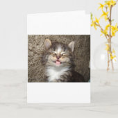 Carte Sourire de chaton (Fleur jaune)