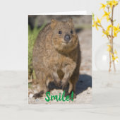 Carte Sourire / Prompt rétablissement, Quokka heureux, A (Fleur jaune)
