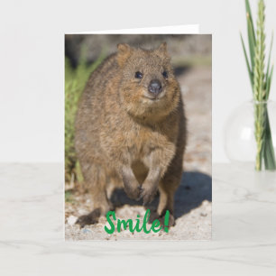 Carte Sourire / Prompt rétablissement, Quokka heureux, A