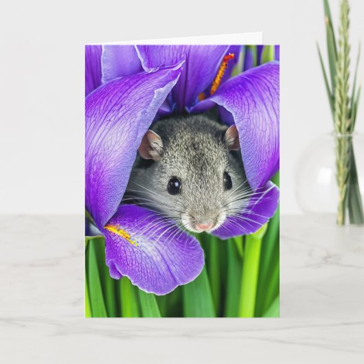 Carte Souris D'Anniversaire En Fleur Iris (Devant)