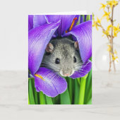 Carte Souris D'Anniversaire En Fleur Iris (Fleur jaune)