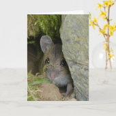 Carte Souris de champ dans un trou dans le mur (Fleur jaune)