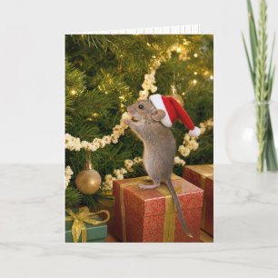 Carte Souris de Noël mangeant du pop-corn sur l'arbre