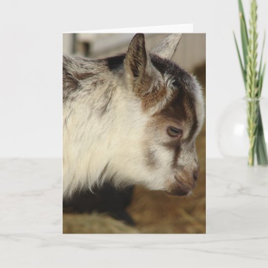 Carte Souris la chèvre (Devant)