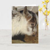 Carte Souris la chèvre (Fleur jaune)