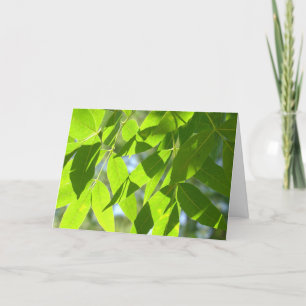 Carte Sous un arbre