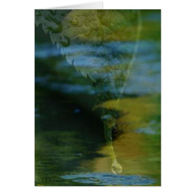 Carte souvenir (Devant)