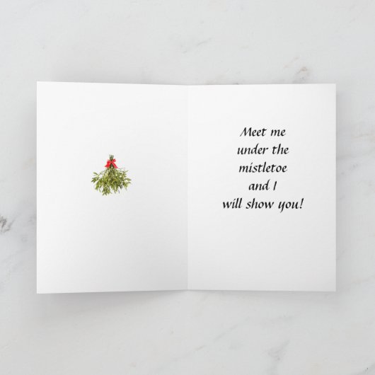 CARTE SOUVENIRS DE NOËL ET AMIS (Intérieur)