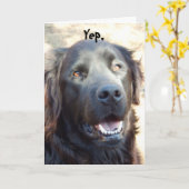 Carte Soyez bien ~Dog Humor Salutation (Fleur jaune)