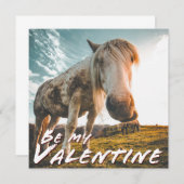 Carte Soyez ma Saint-Valentin en regardant Cheval (Devant / Derrière)