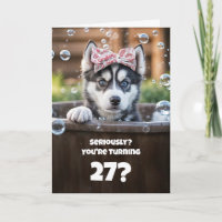 Spa pour chiot Husky mignon et drôle pour 27e anni