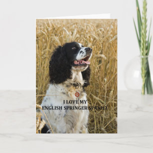 Carte spaniel spaniel bwlove w pic