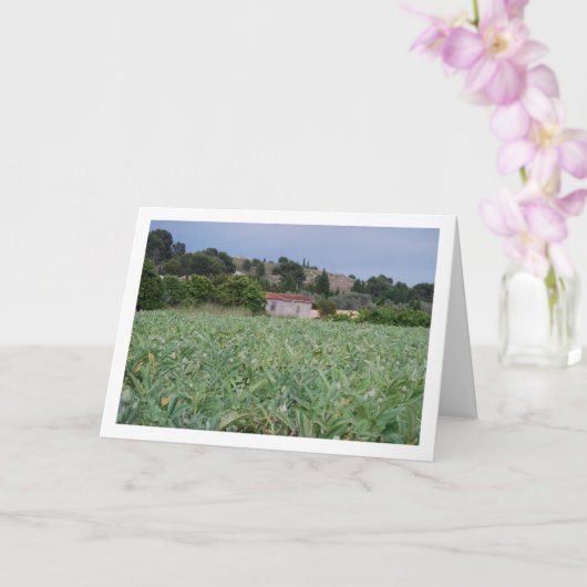 Carte Spanish Artichoke Field, Valencia, Spain (Orchidée)