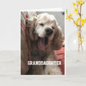 Carte **SPECIAL BIRTHDAY** for "GRANDDAUGHTER" Card (Fleur jaune)