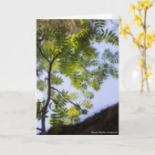 Carte Species : Rowan (Fleur jaune)