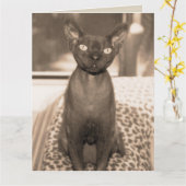 Carte Sphynx Devon Rex Cat Large Sepia Photographie (Fleur jaune)