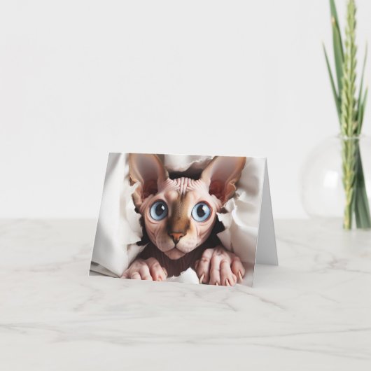 Carte Sphynx pour toute occasion (Devant)