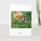 Carte Spicebush Swallowtail/Miracles quotidiens (Dos)