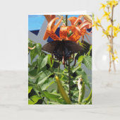 Carte Spicebush Swallowtail/Miracles quotidiens (Fleur jaune)